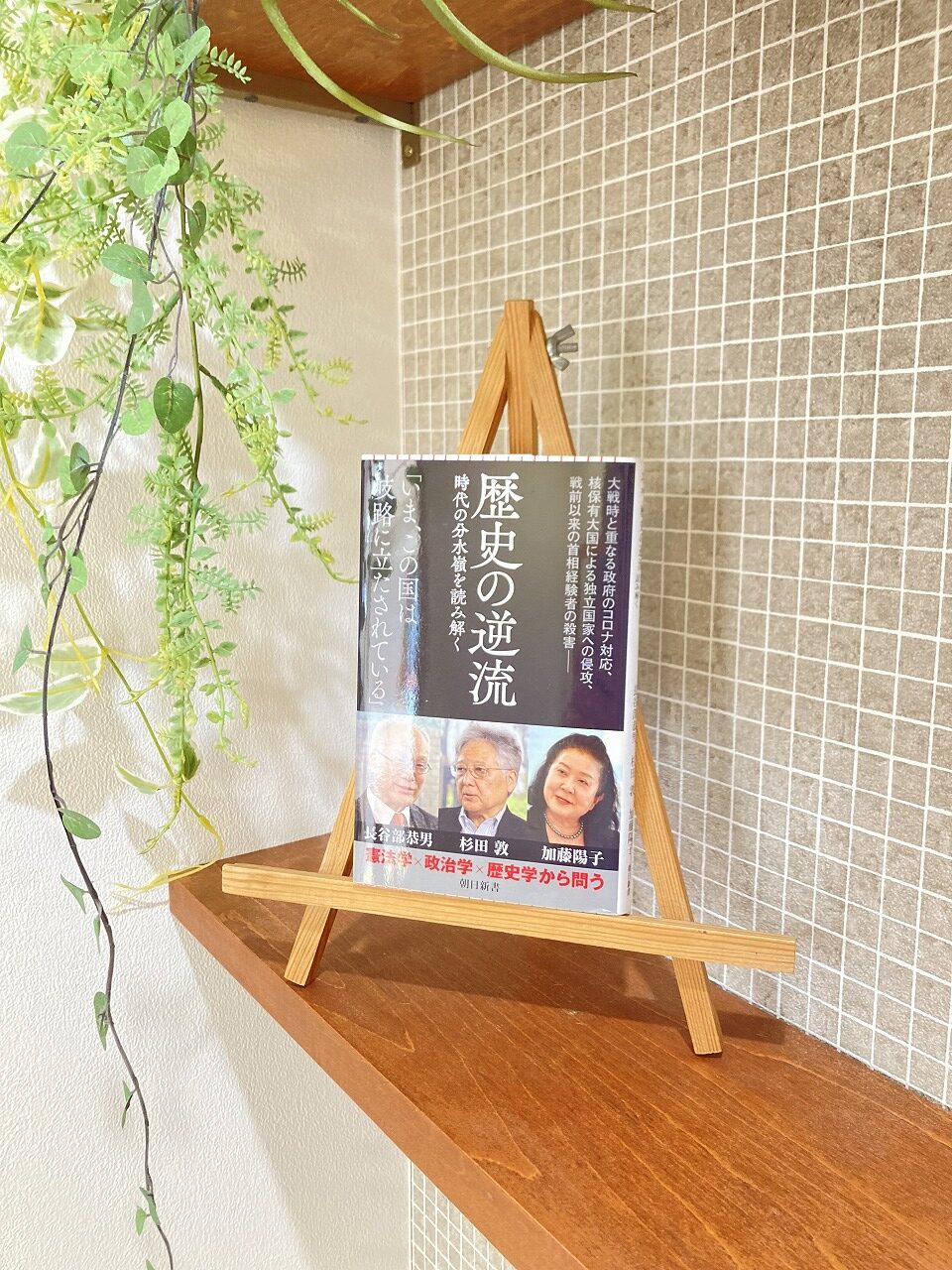 「歴史の逆流」